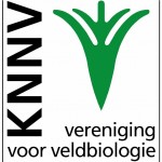 logo KNNV